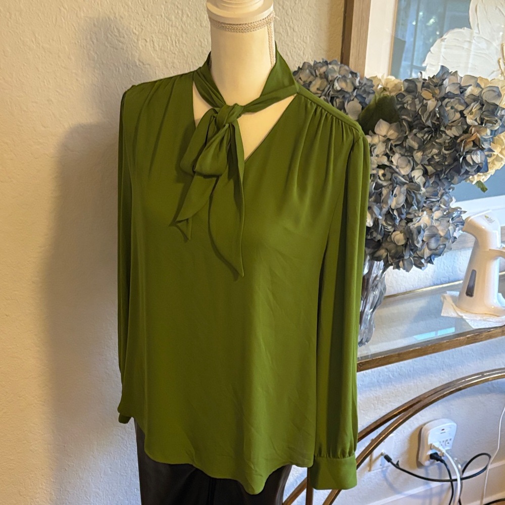 Lark & Ro long sleeve tie neck blouse sz Large